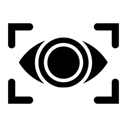 Vision Glyph Icon