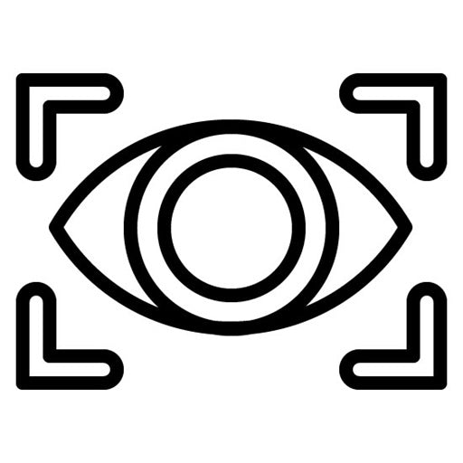 Vision Icon
