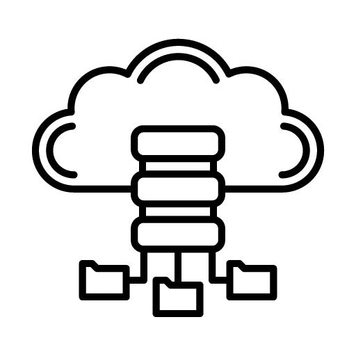 Data Backup Icon
