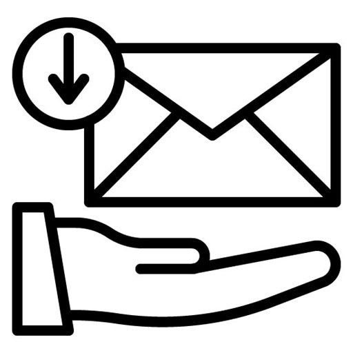 Receive Email Icon