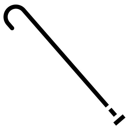 Walking Stick Glyph Icon