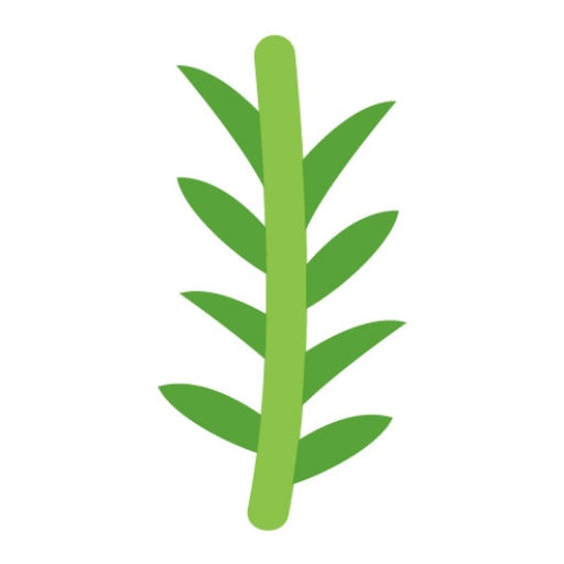 Rosemary Flat Icon