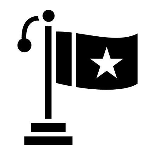 Milestone Glyph Icon | Project Assesment