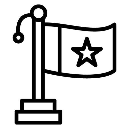 Milestone Icon | Project Assesment