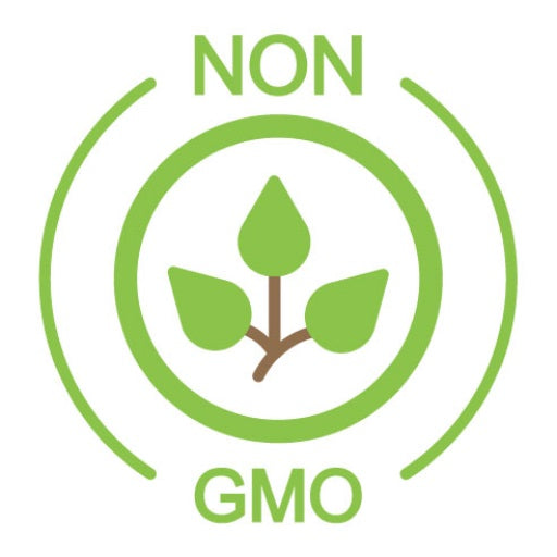 Non Gmo Flat Icon