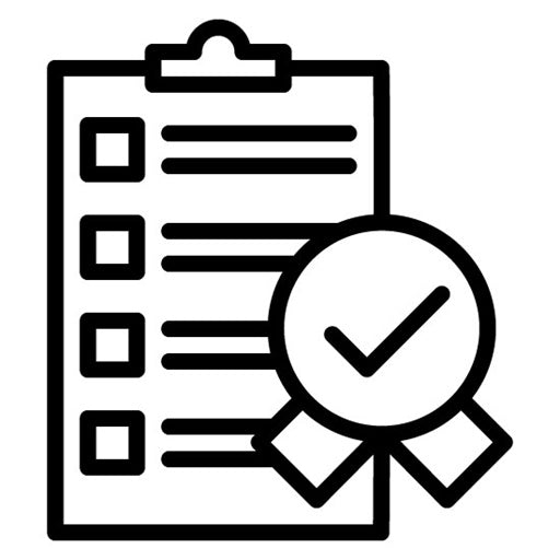Quality Standards Icon