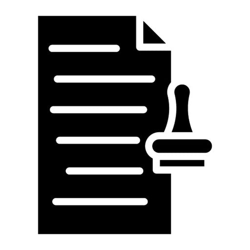Accountability Glyph Icon | Action Plan