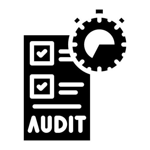 Operations Audit Glyph Icon