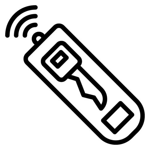 Remote Access Key Icon