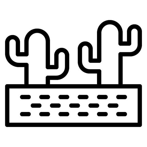 Space Western Icon
