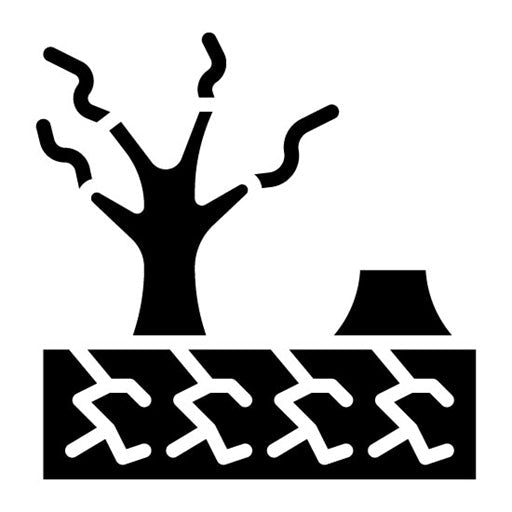 Desertification Glyph Icon | Water Crisis