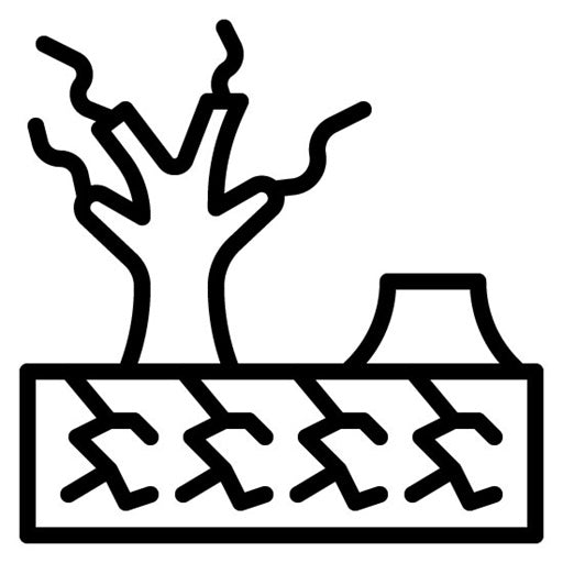 Desertification Icon | Water Crisis
