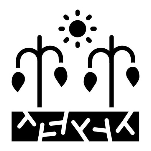Dry Soil Glyph Icon