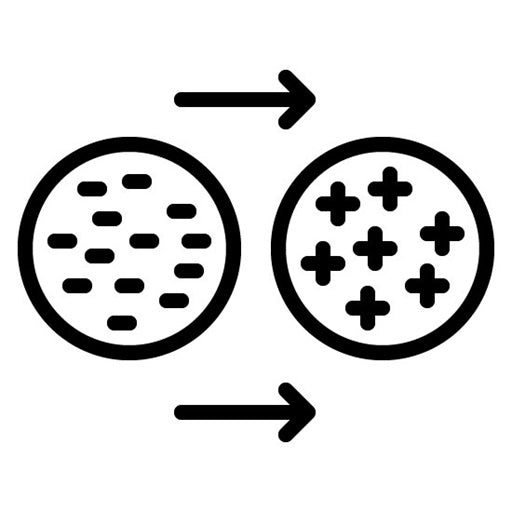Ion Exchange Icon