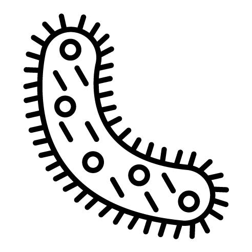 Bacteria Icon | Chemistry