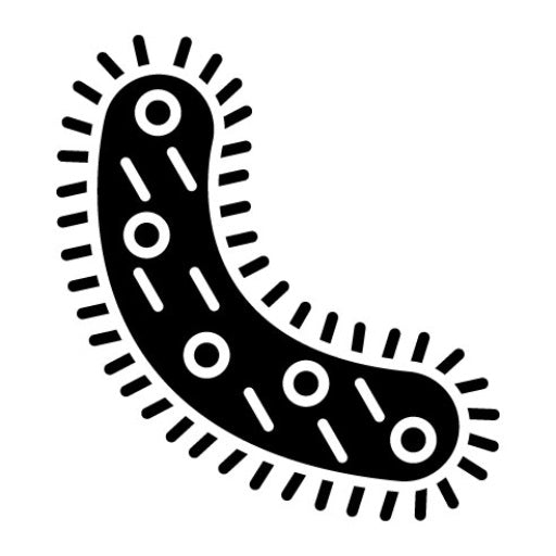 Bacteria Glyph Icon | Chemistry