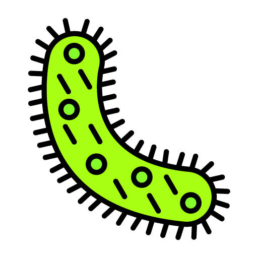 Bacteria Filled Icon