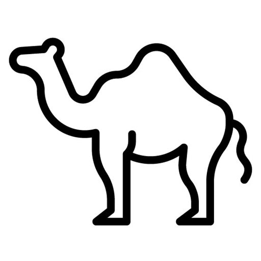 Camel Icon | Islamic New Year