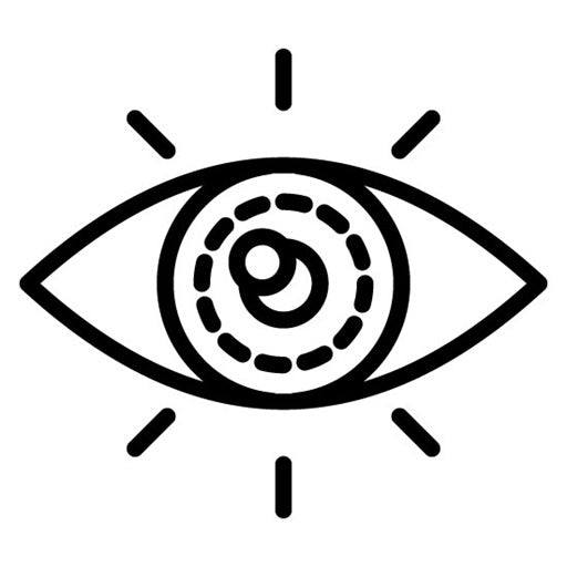 Vision Icon | Thought Leadership
