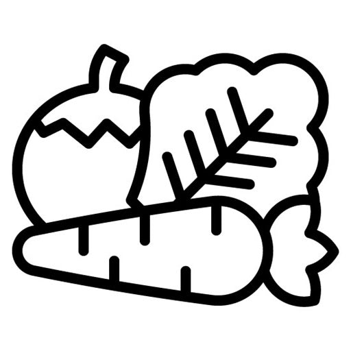 Vegetables Icon | Physical Wellbeing