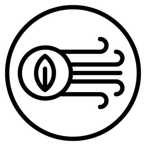 Clean Air Icon | World Environment Day