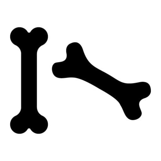 Bones Glyph Icon | History