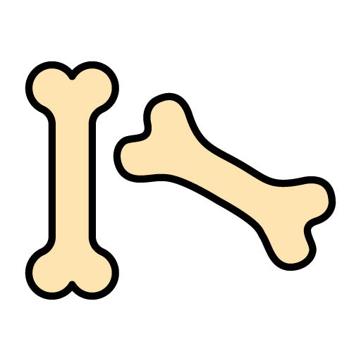 Bones Filled Icon