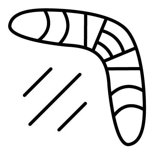 Boomerang Icon