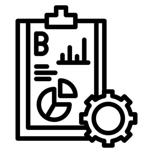 Plan B Icon