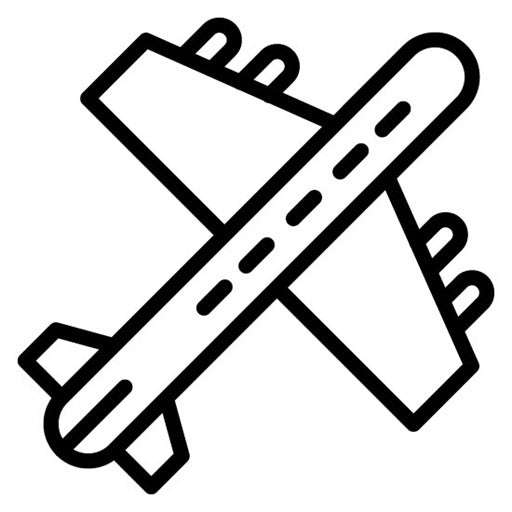Commercial Plane Icon