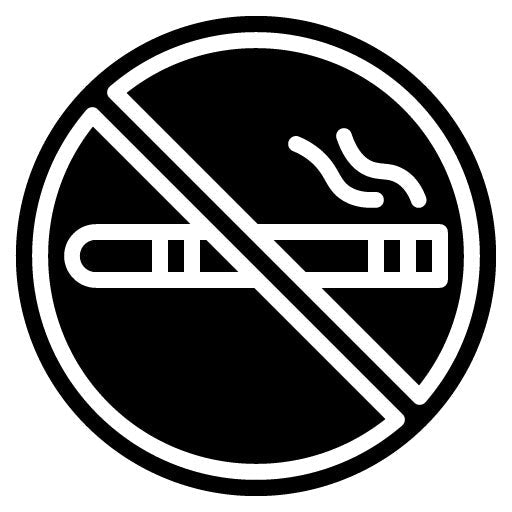 No Smoking Glyph Icon | Airplane