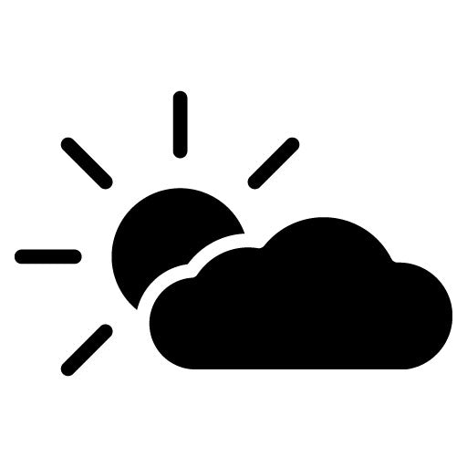Weather Glyph Icon | Airplane