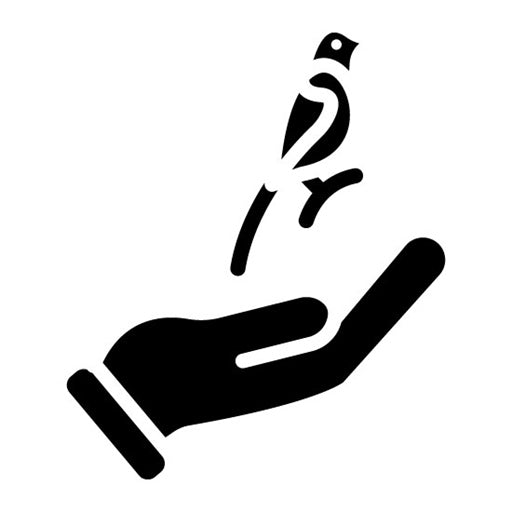 Birds Rights Glyph Icon