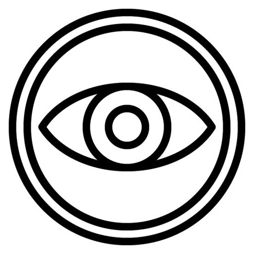 Learning Styles Icon