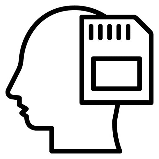 Memory Icon