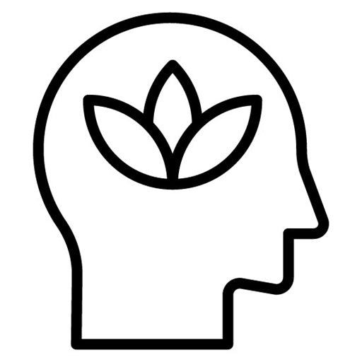 Mindfulness Icon