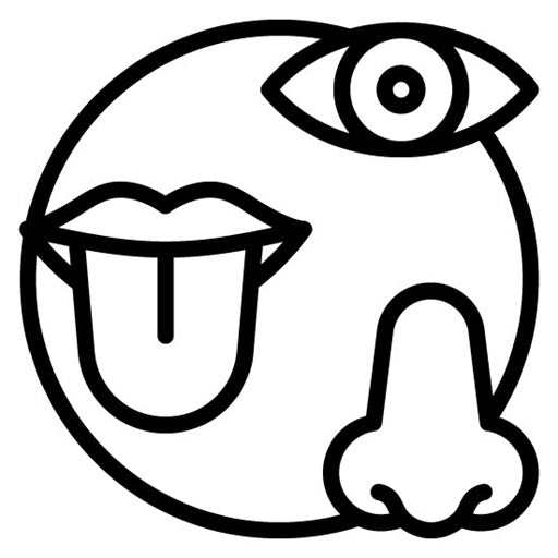 Sensory Sensitivity Icon