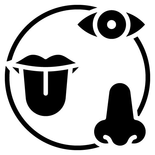 Sensory Sensitivity Glyph Icon