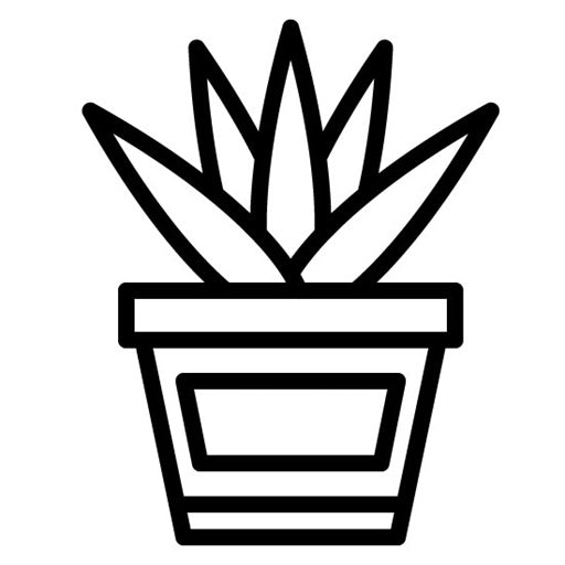 Blister Icon