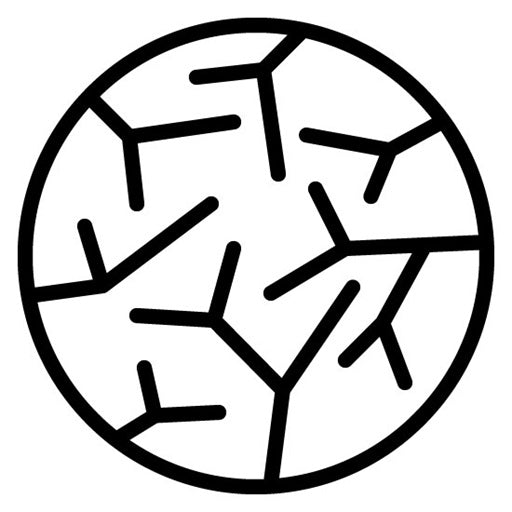 Dry Skin Icon