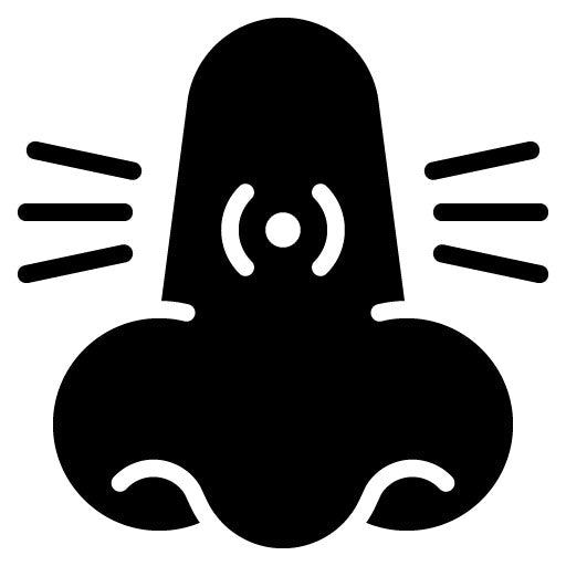 Nasal Congestion Glyph Icon