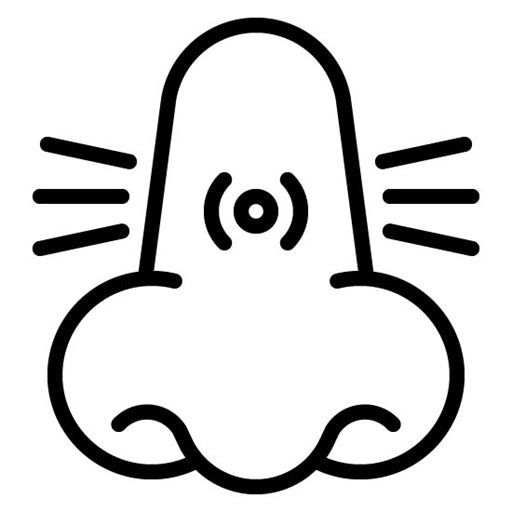 Nasal Congestion Icon