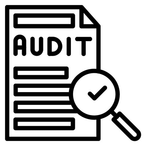 Audit Icon | Compilance and Regulation