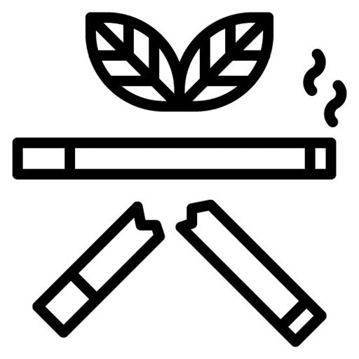 Smoking Cessation Program Icon | Smoking