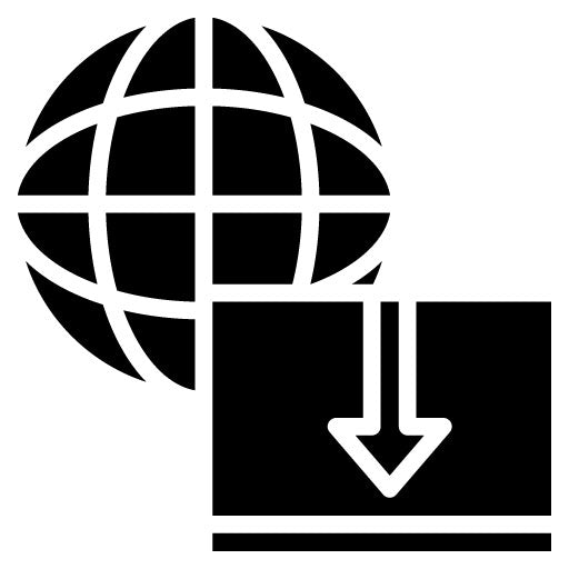 Import Glyph Icon | International Relations