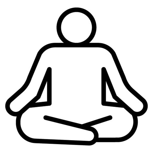 Yogi Icon