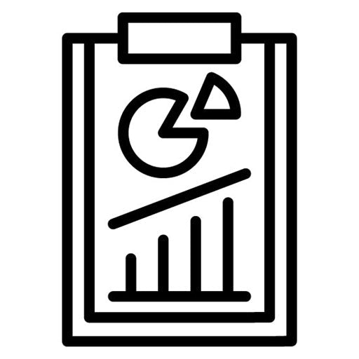Audit Report Icon