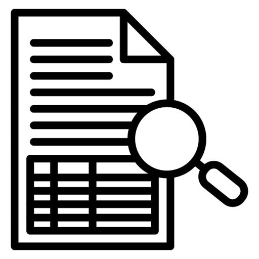 Audit Trail Icon