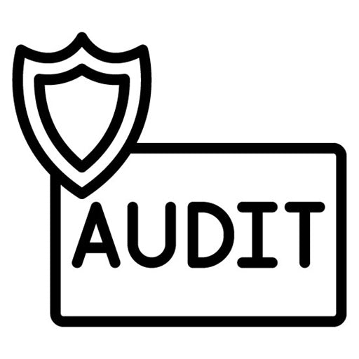 Cybersecurity Audit Icon