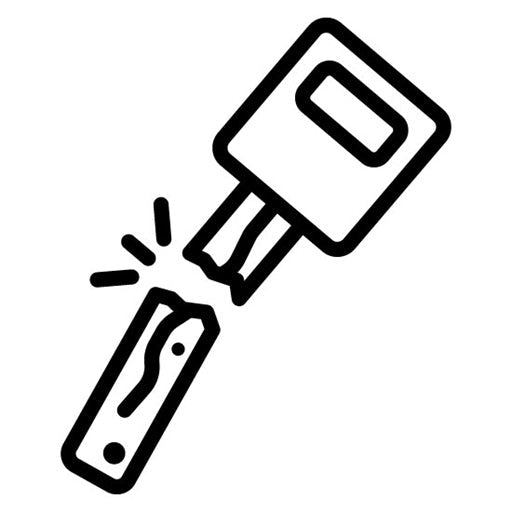 Broken key Icon
